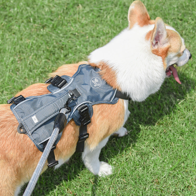 Original Pet Harness Dog Hand Holding Rope
