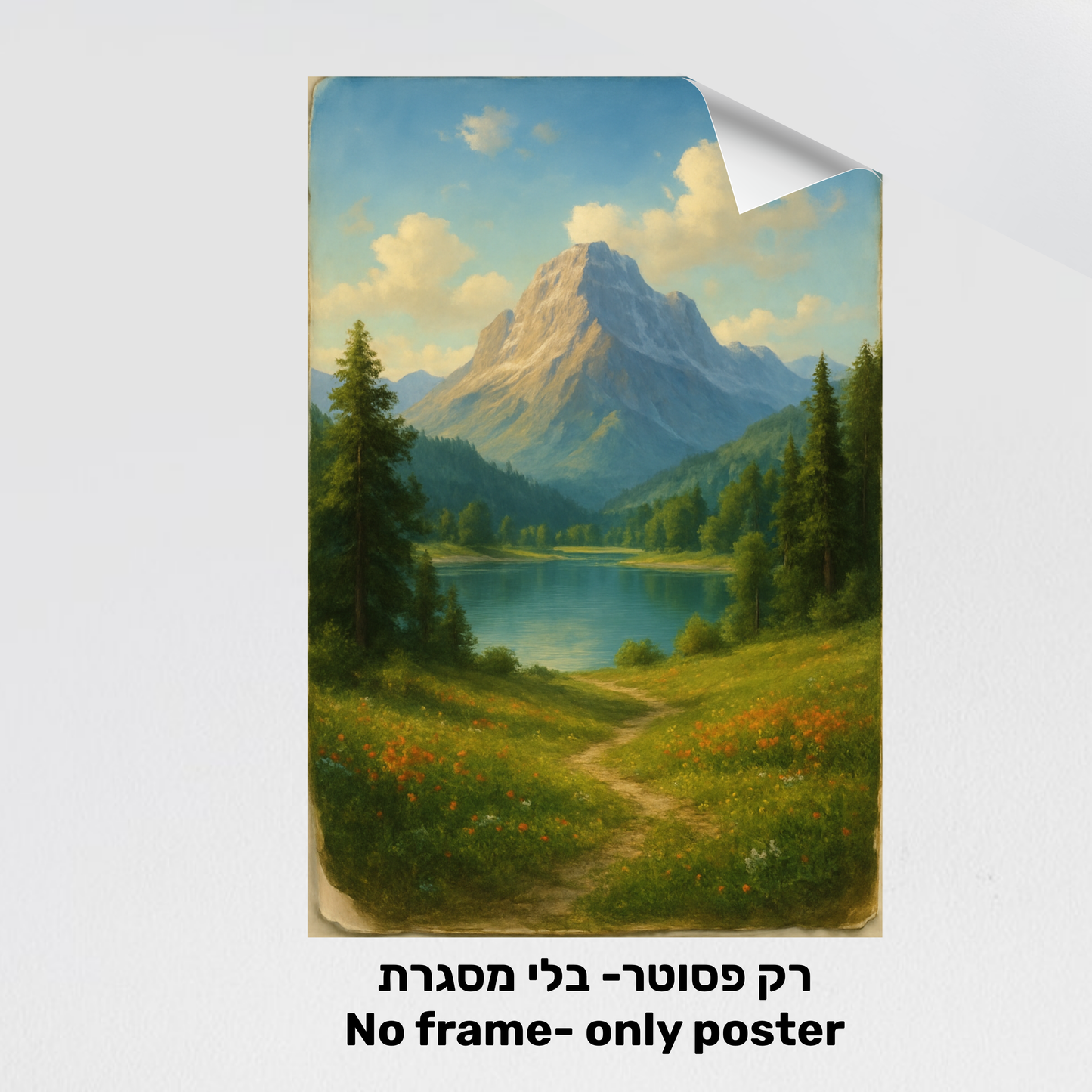 Posters- פוסטרים