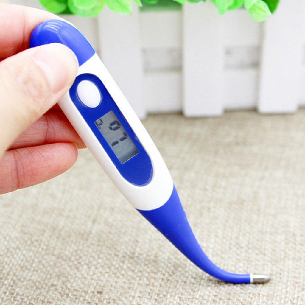 Digital Electronic Waterproof Thermometer temperature