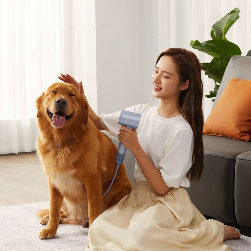 Household Large Wind Lefin Quick Drying Negative Ion Hair Care Hair Dryer