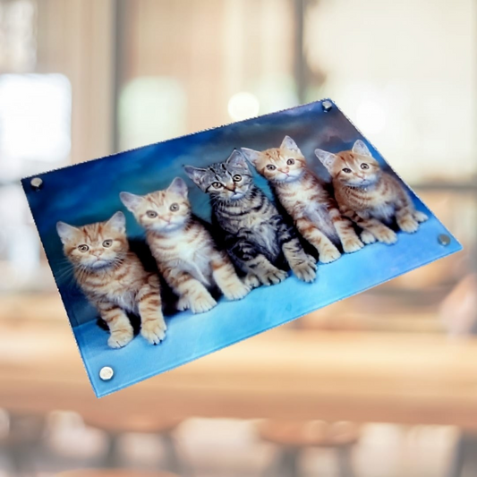 Large Glass Panel- שלט זכוכית ענקית עם הדפסה אישית