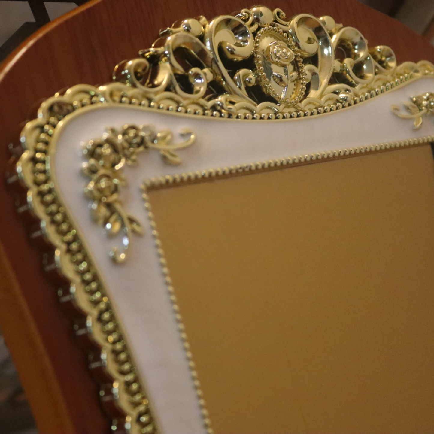Appreciation Plaque- מגן הוקרה - درع تقدير